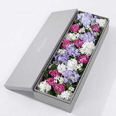 紫色白邊康乃馨8枝、白繡球1枝、藍紫色繡球1枝